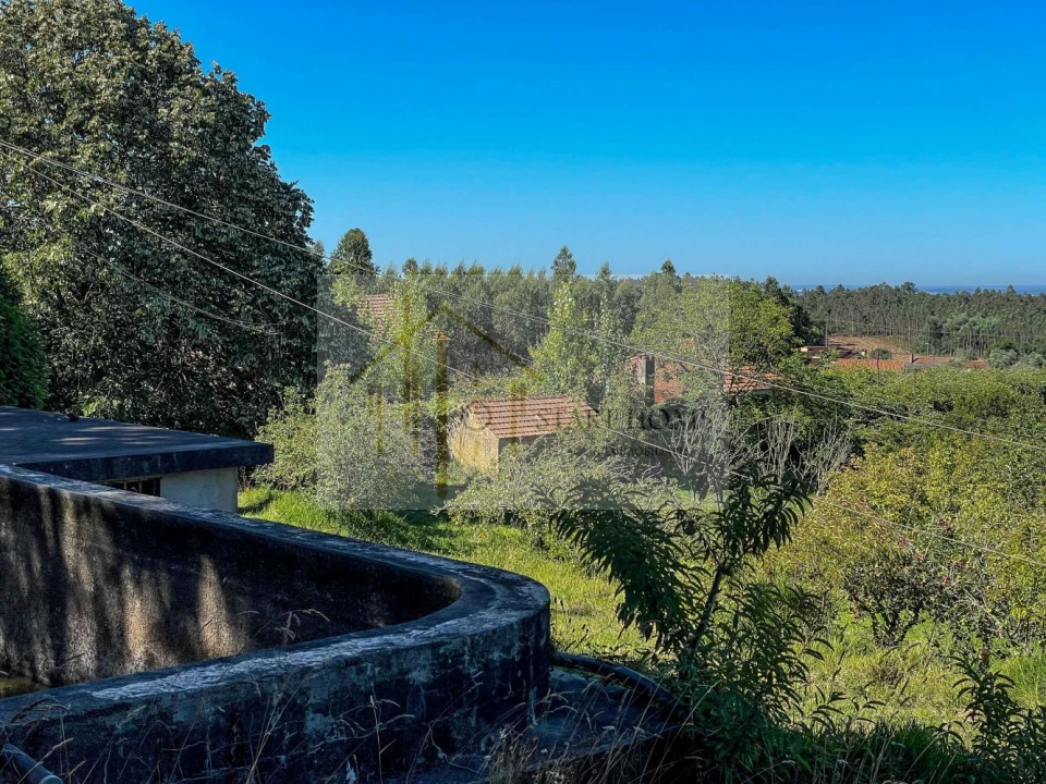 Quinta T6 para Venda em Valongo do Vouga Foto 26