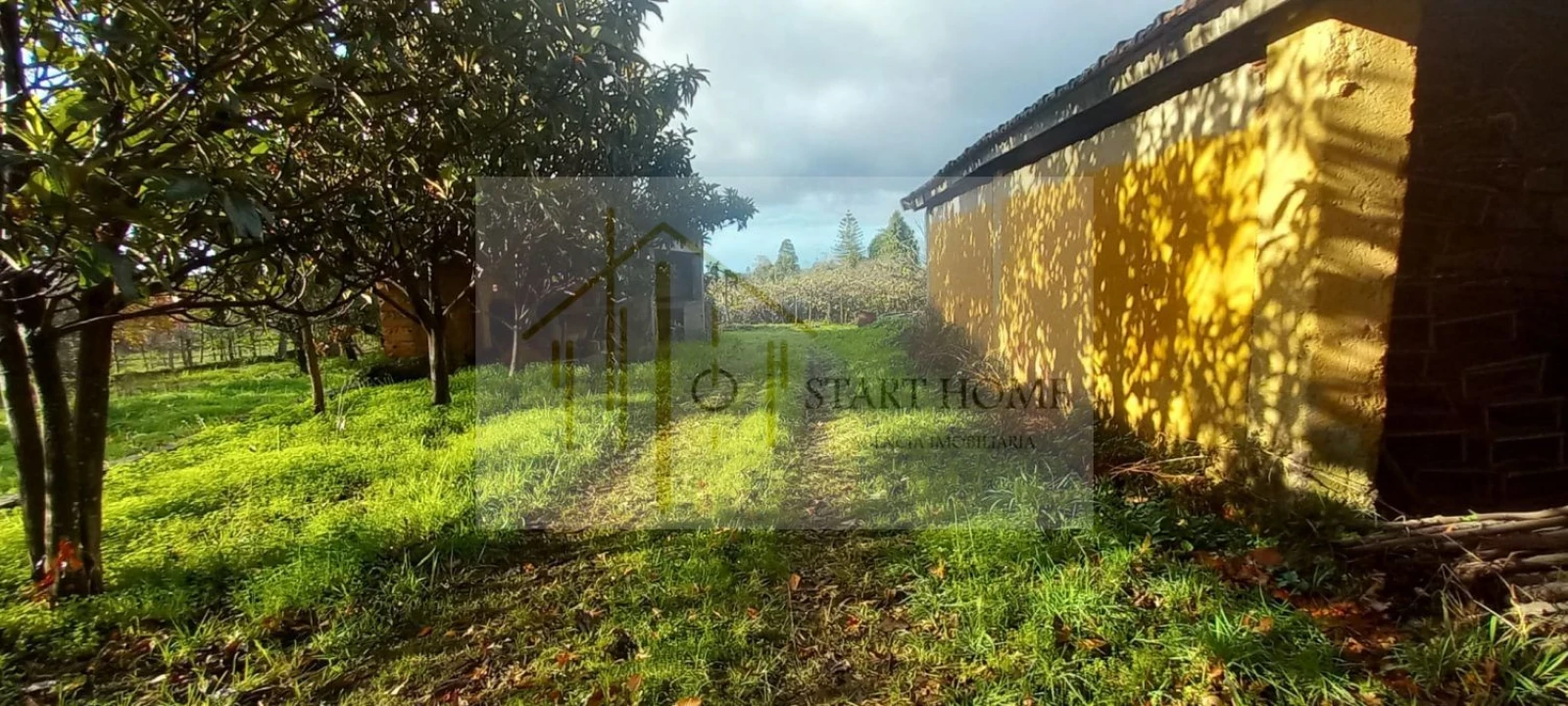 Quinta T6 para Venda em Valongo do Vouga Foto 55