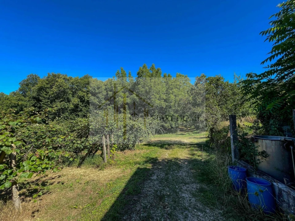 Quinta T6 para Venda em Valongo do Vouga Foto 19