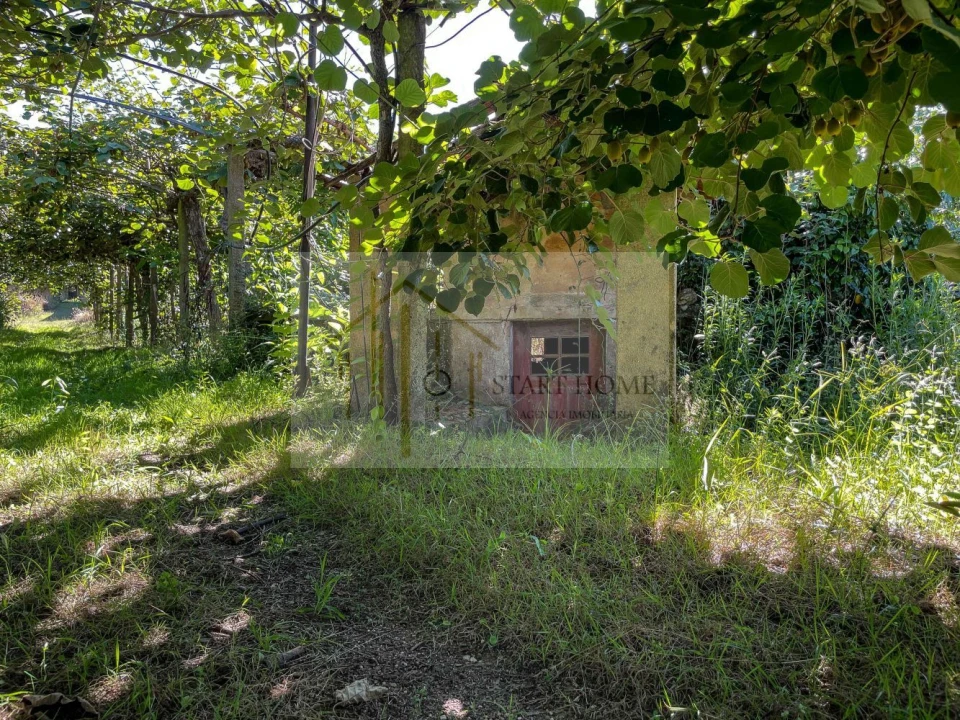 Quinta T6 para Venda em Valongo do Vouga Foto 12