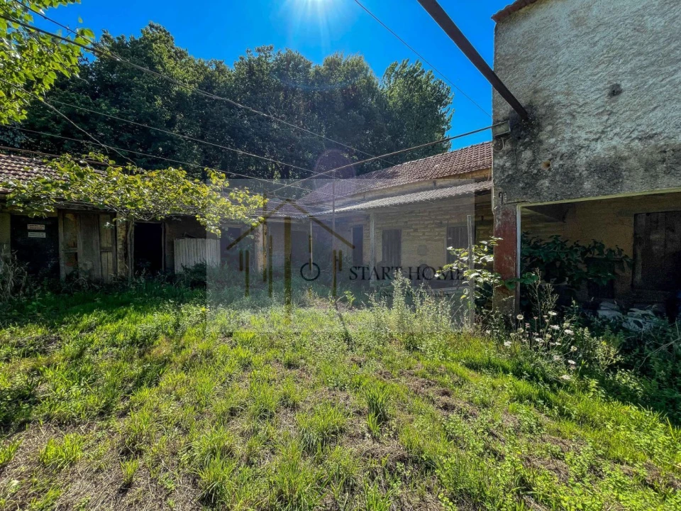 Quinta T6 para Venda em Valongo do Vouga Foto 29