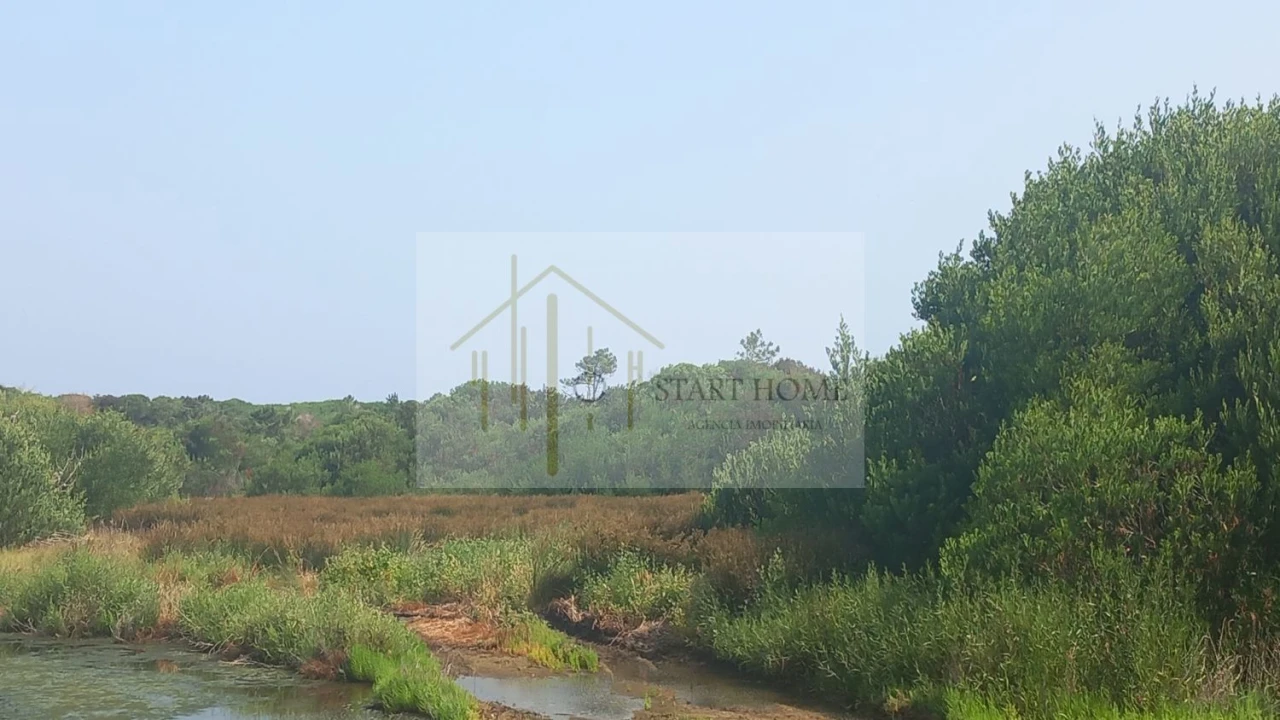 Terreno para Venda em Torreira Foto 25