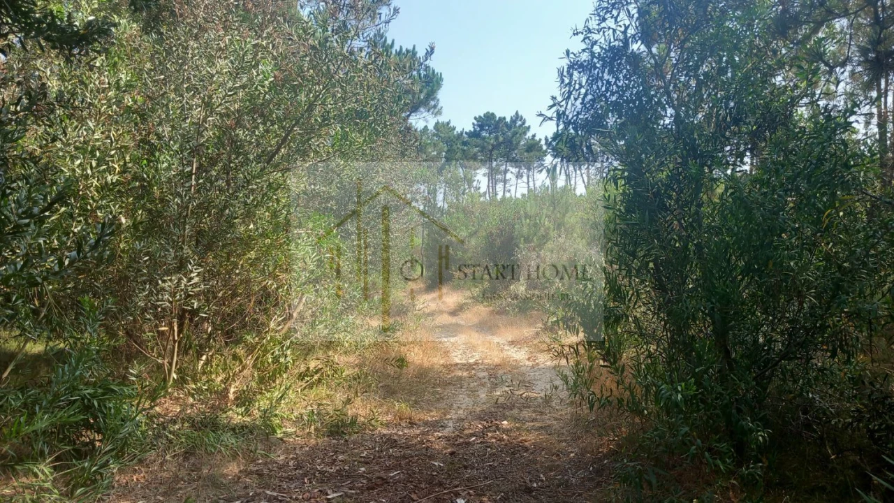 Terreno para Venda em Torreira Foto 31
