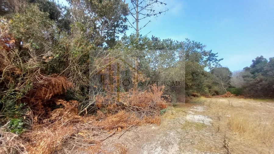 Terreno para Venda em Torreira Foto 19