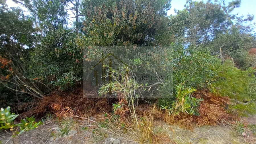 Terreno para Venda em Torreira Foto 15