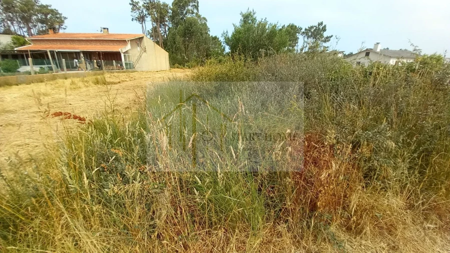 Terreno para Venda em Torreira Foto 13