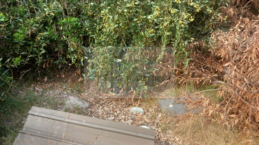 Terreno para Venda em Torreira Foto 16