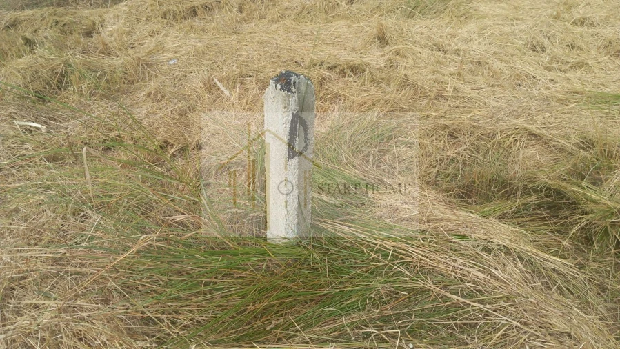 Terreno para Venda em Torreira Foto 8