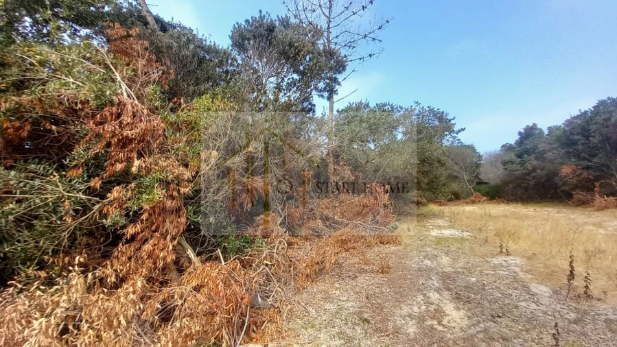 Terreno para Venda em Torreira Foto 2