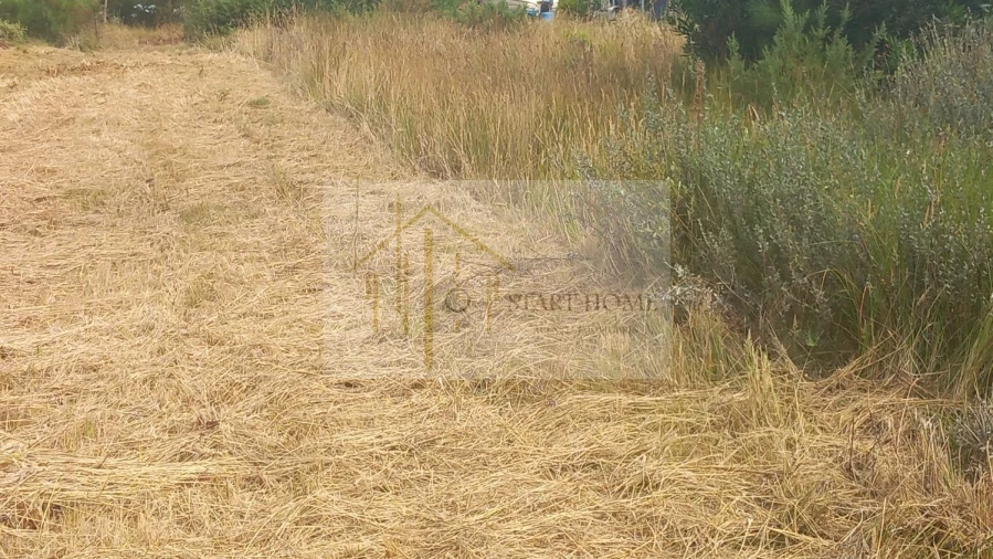 Terreno para Venda em Torreira Foto 6
