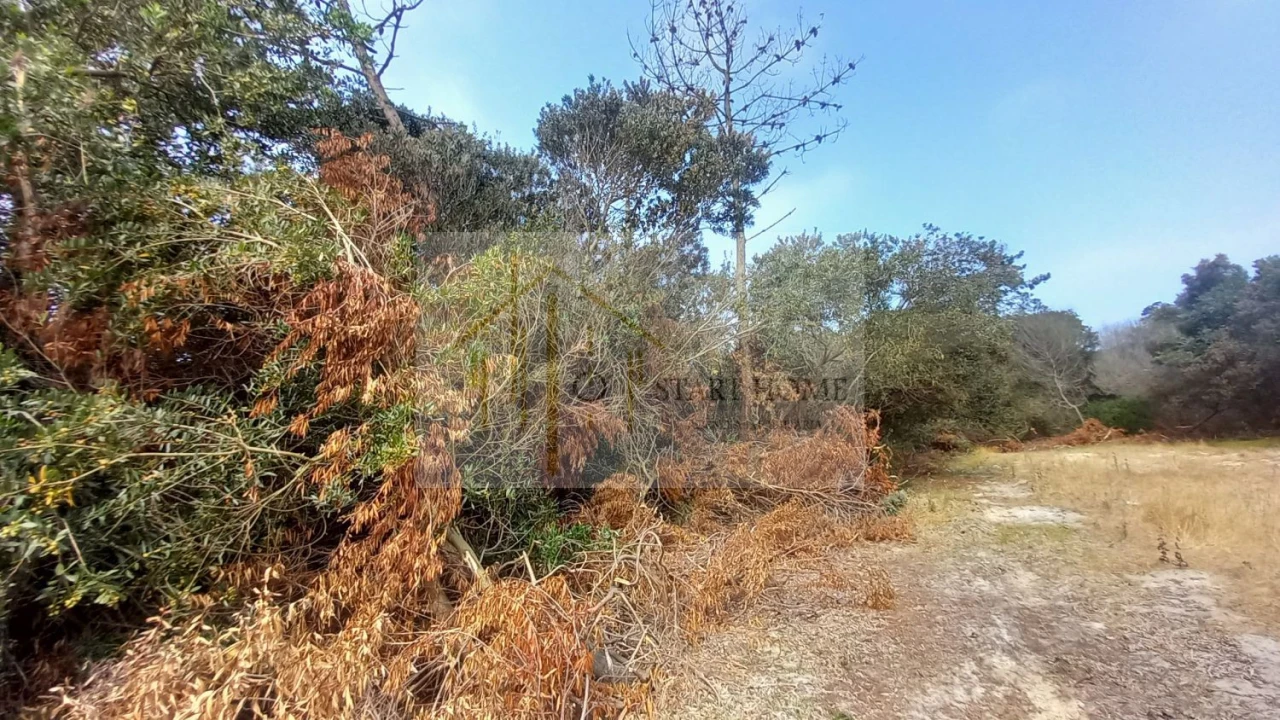 Terreno para Venda em Torreira Foto 18