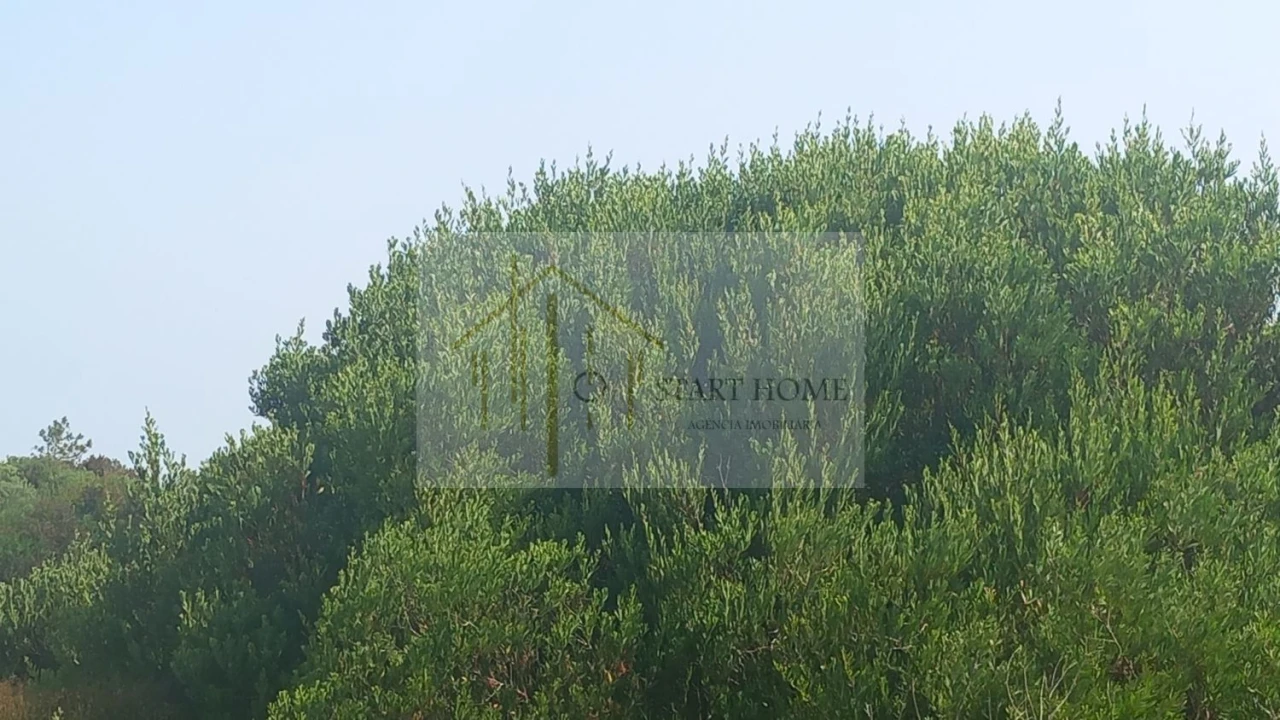 Terreno para Venda em Torreira Foto 27