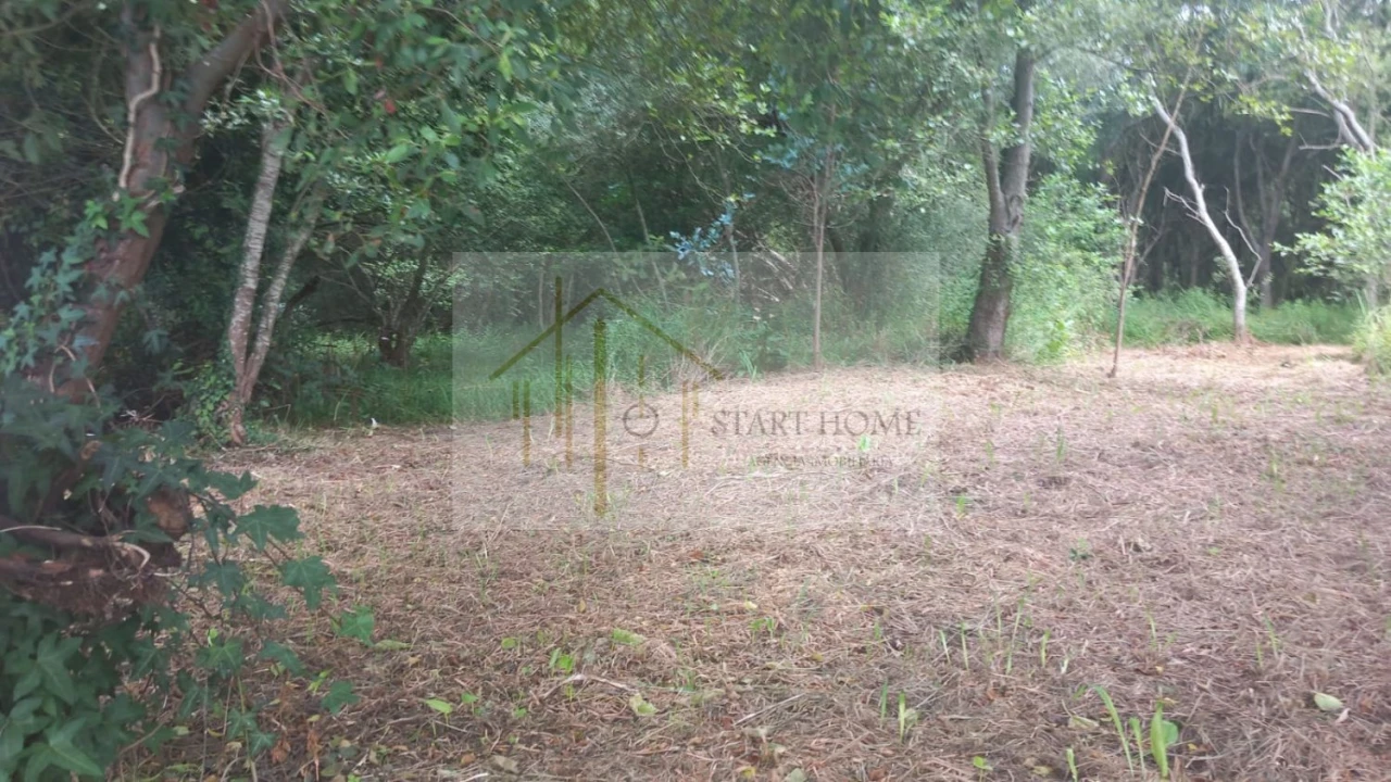 Terreno para Venda em Murtosa Foto 29