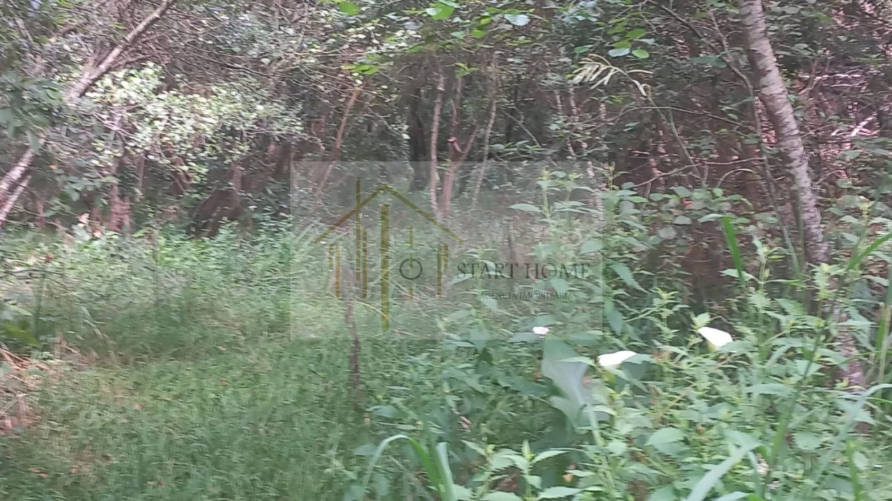 Terreno para Venda em Murtosa Foto 34