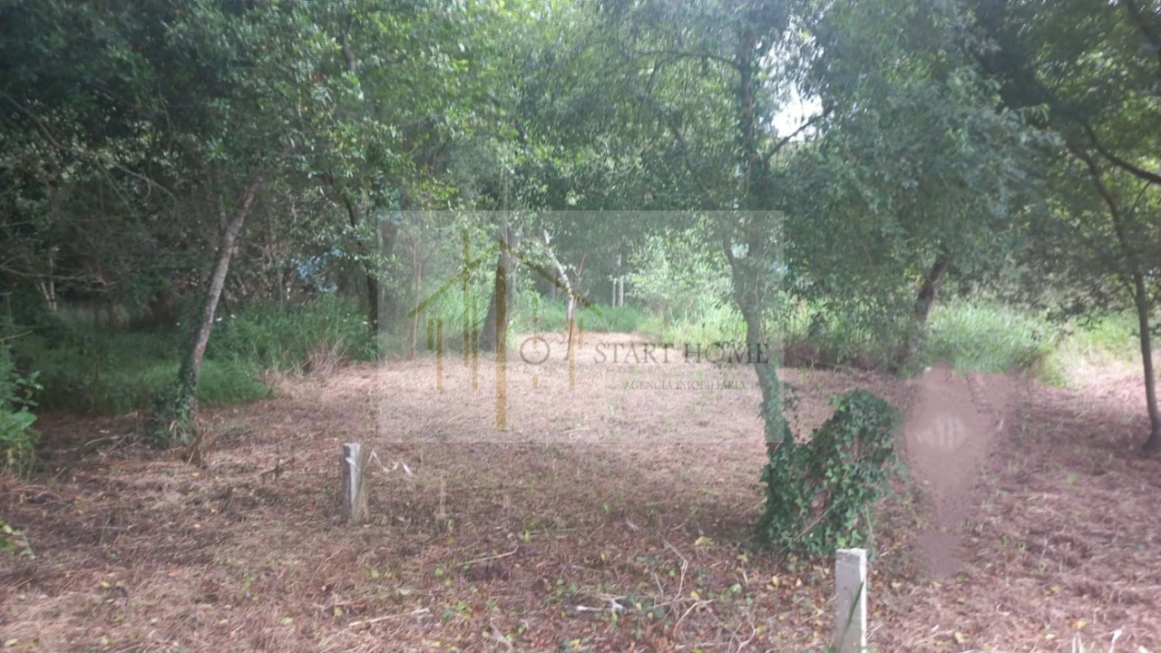 Terreno para Venda em Murtosa Foto 7
