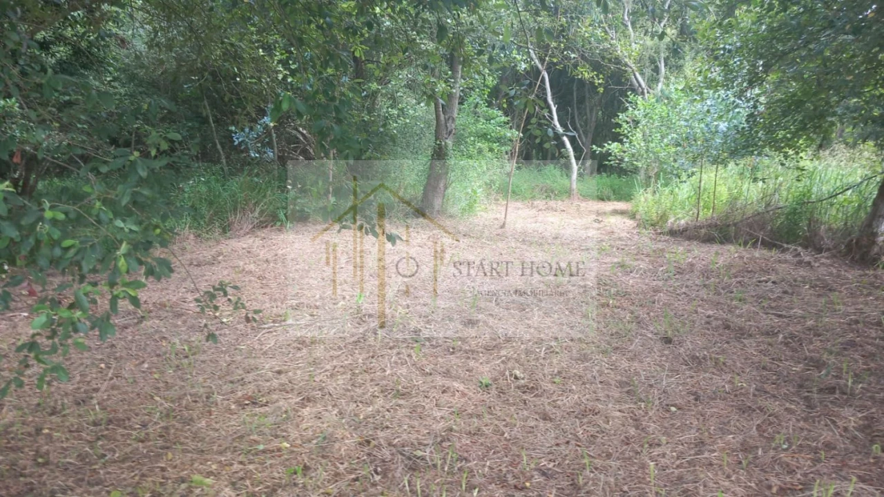 Terreno para Venda em Murtosa Foto 28