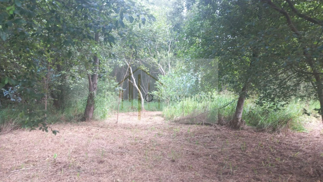 Terreno para Venda em Murtosa Foto 26