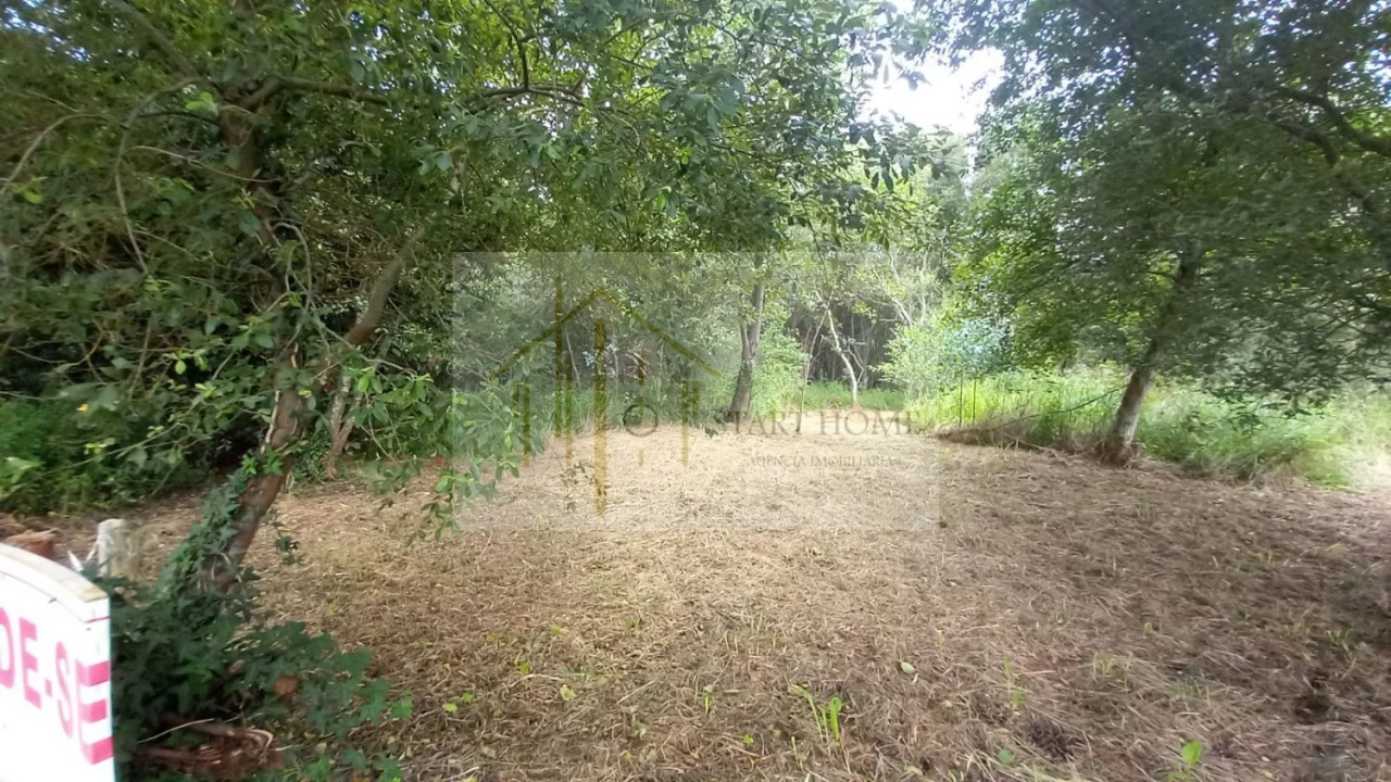 Terreno para Venda em Murtosa Foto 13