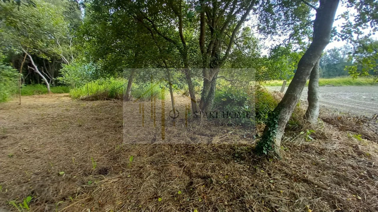 Terreno para Venda em Murtosa Foto 12