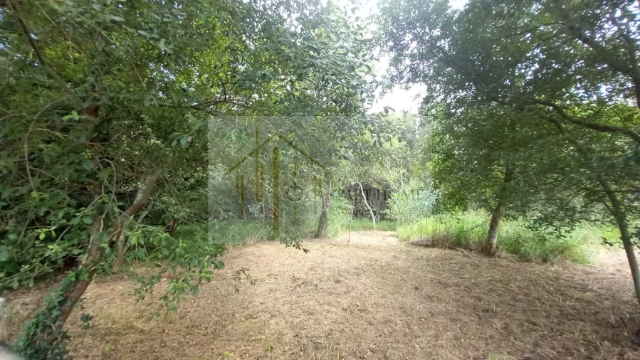 Terreno para Venda em Murtosa Foto 15