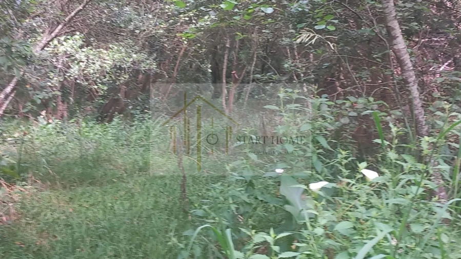 Terreno para Venda em Murtosa Foto 34