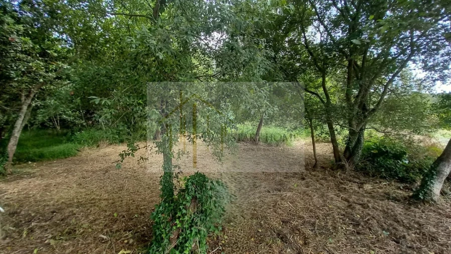 Terreno para Venda em Murtosa Foto 46