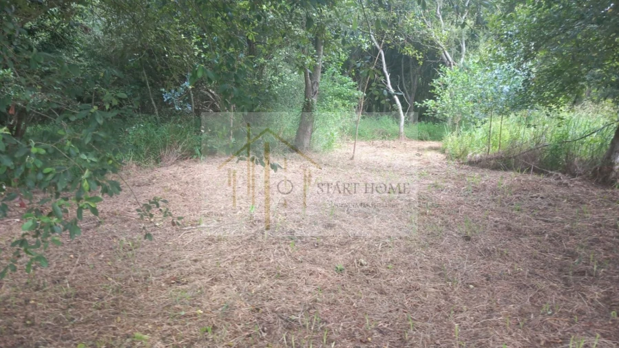 Terreno para Venda em Murtosa Foto 28