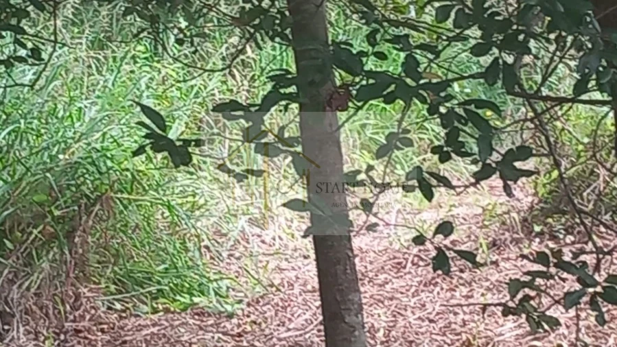 Terreno para Venda em Murtosa Foto 22