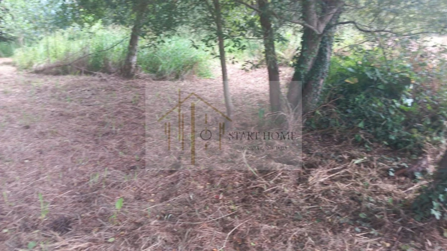 Terreno para Venda em Murtosa Foto 32