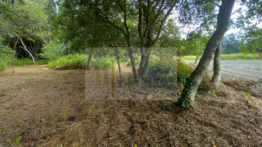 Terreno para Venda em Murtosa Foto 12