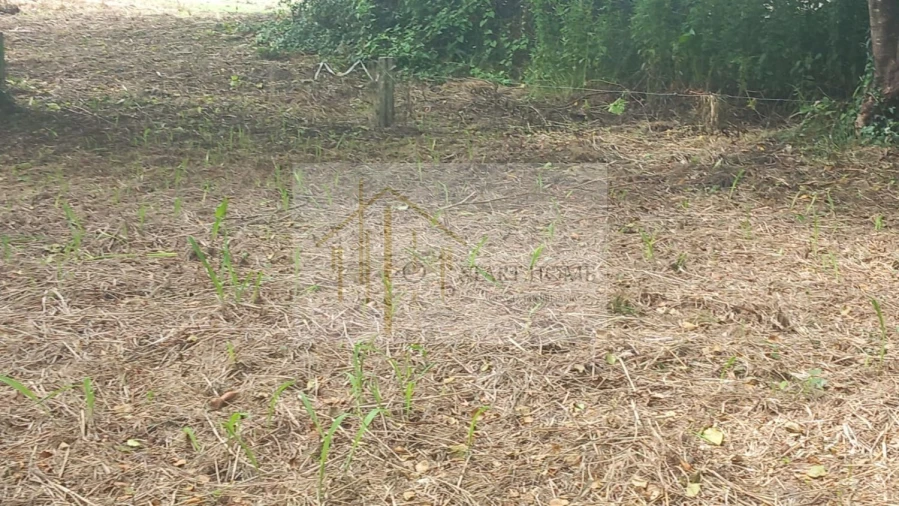 Terreno para Venda em Murtosa Foto 41