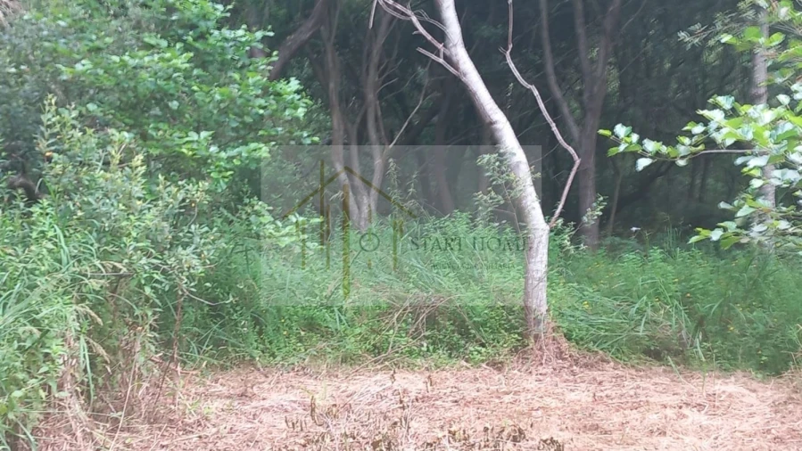 Terreno para Venda em Murtosa Foto 38