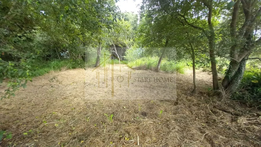 Terreno para Venda em Murtosa Foto 45