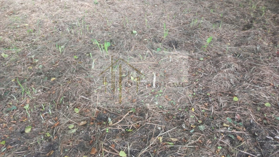 Terreno para Venda em Murtosa Foto 31