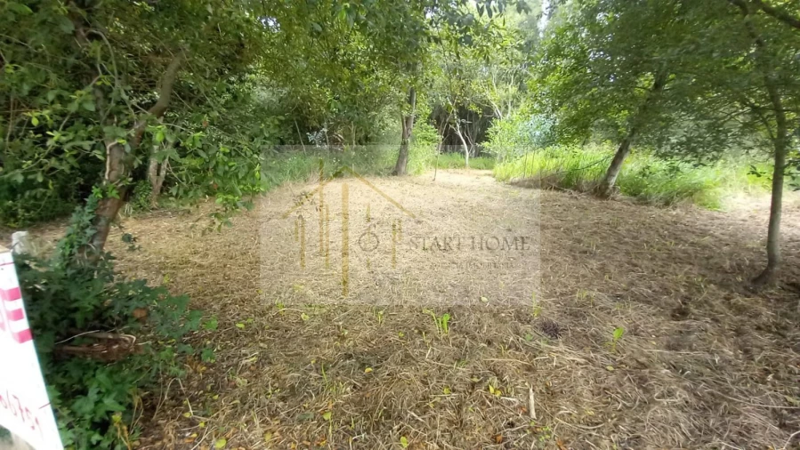 Terreno para Venda em Murtosa Foto 14