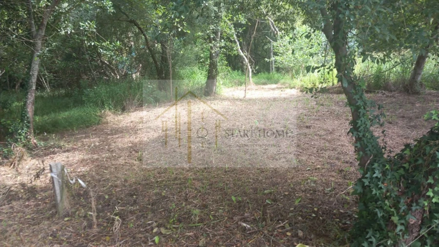 Terreno para Venda em Murtosa Foto 42