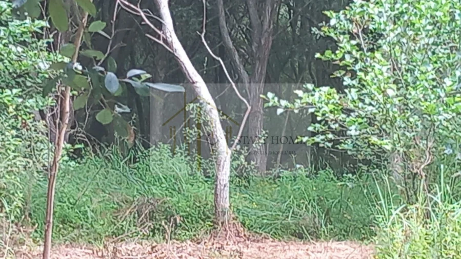 Terreno para Venda em Murtosa Foto 21