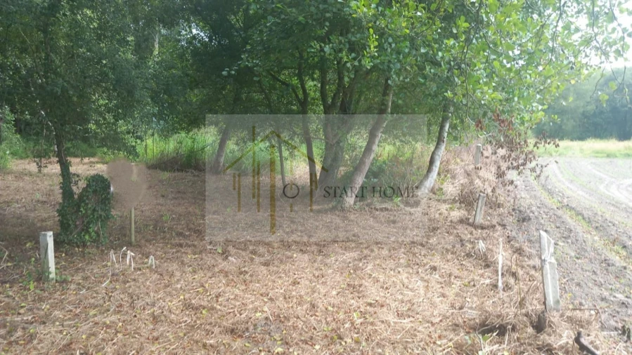 Terreno para Venda em Murtosa Foto 2