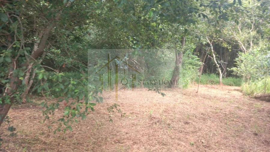 Terreno para Venda em Murtosa Foto 11