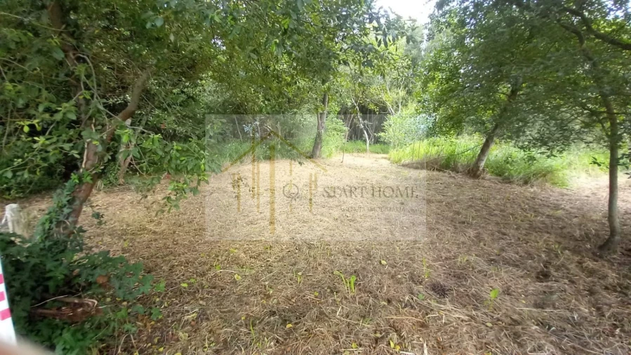 Terreno para Venda em Murtosa Foto 19