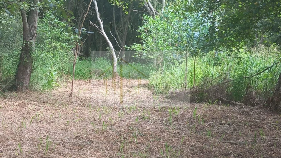 Terreno para Venda em Murtosa Foto 44