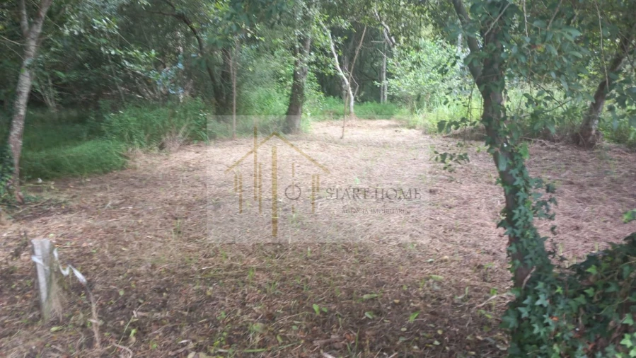 Terreno para Venda em Murtosa Foto 8