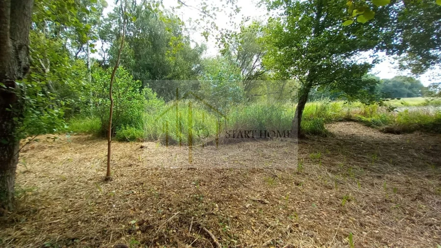 Terreno para Venda em Murtosa Foto 37