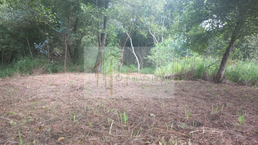 Terreno para Venda em Murtosa Foto 30