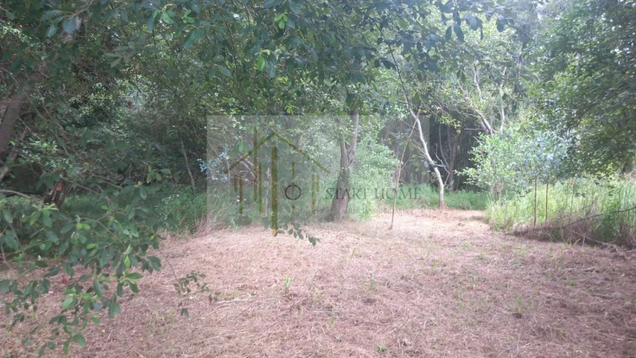 Terreno para Venda em Murtosa Foto 25