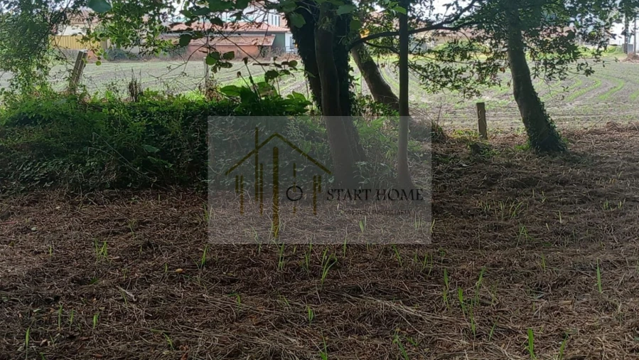 Terreno para Venda em Murtosa Foto 40