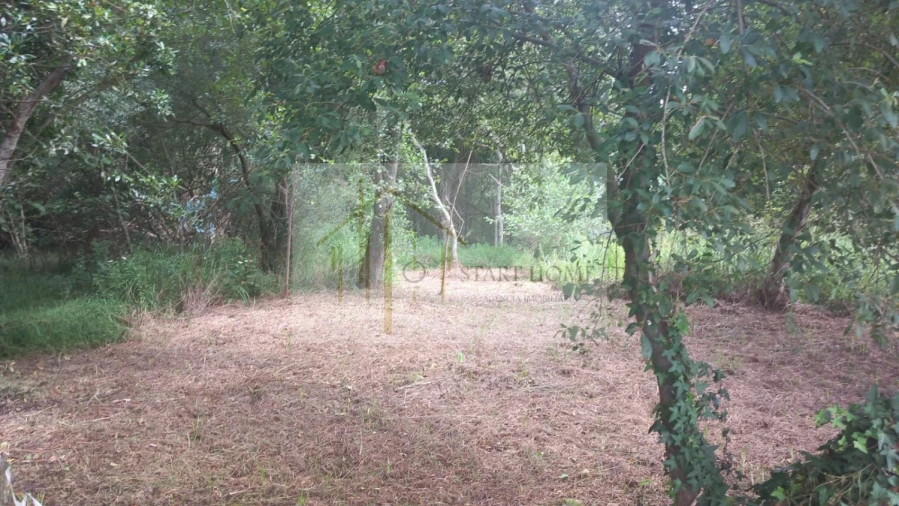 Terreno para Venda em Murtosa