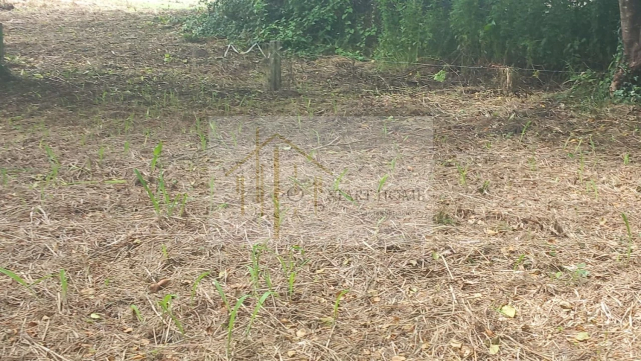 Terreno para Venda em Murtosa Foto 41