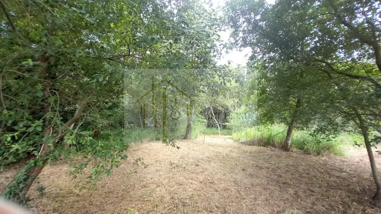 Terreno para Venda em Murtosa Foto 23