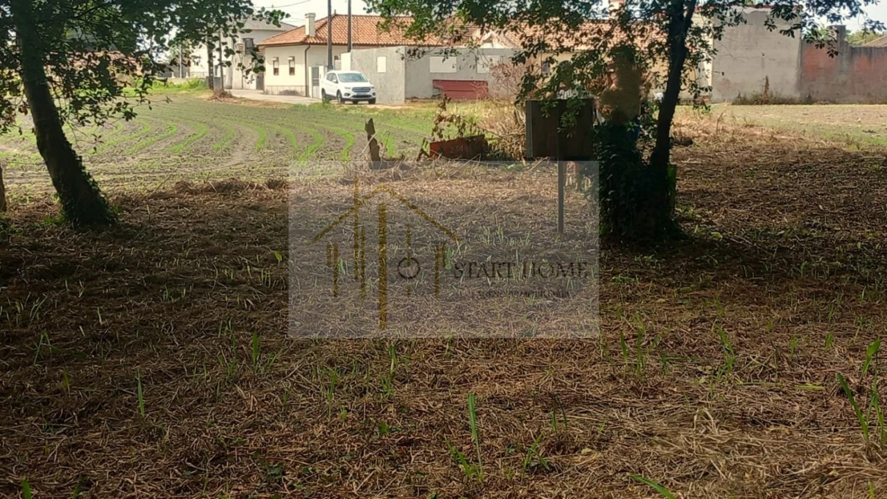 Terreno para Venda em Murtosa Foto 43